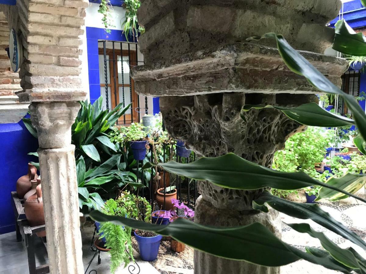 Alojamiento Casa Tipica De Кордова Екстер'єр фото